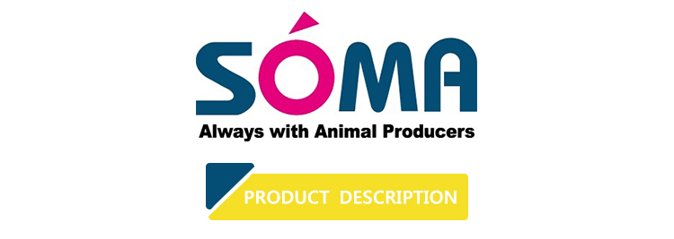 Giới thiệu Công ty Soma Hàn Quốc