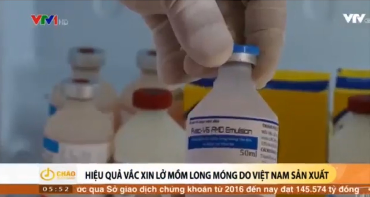 Việt Nam lần đầu tiên sản xuất được vắc xin Lở mồm long móng