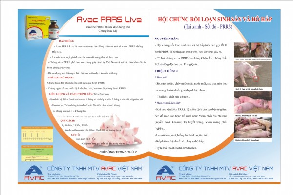 Avac PRRS Live - Chủng Bắc Mỹ