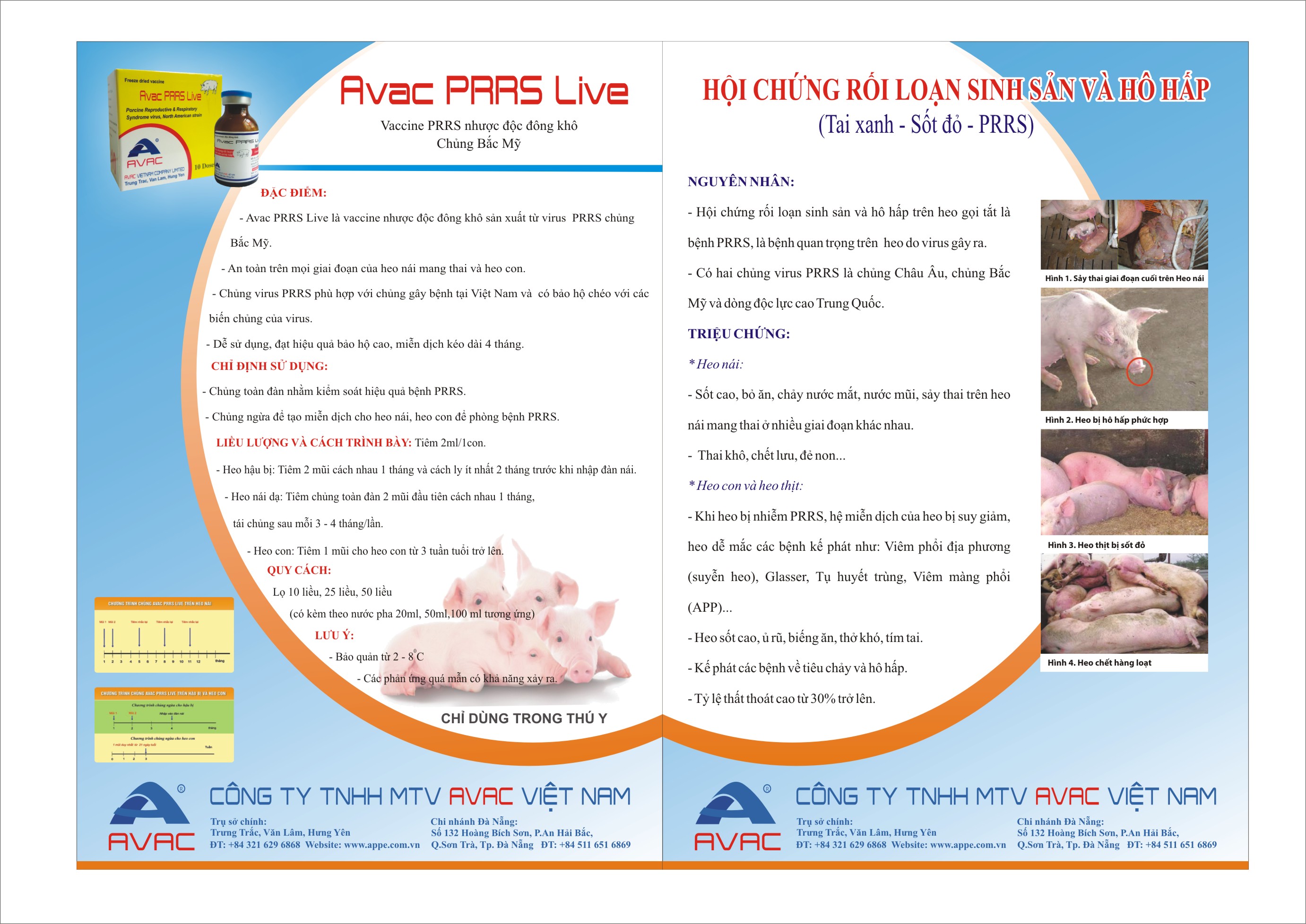 Avac PRRS Live - Chủng Bắc Mỹ 1