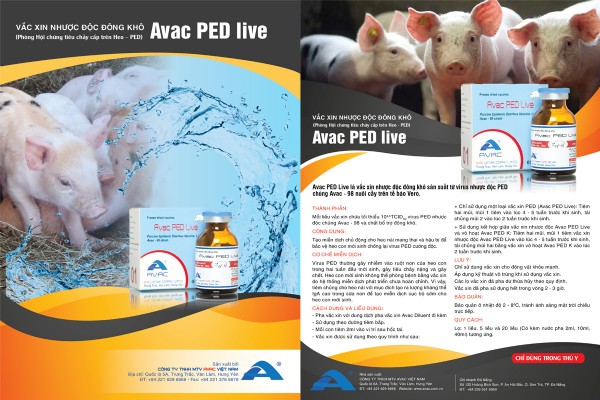 Avac PED Live