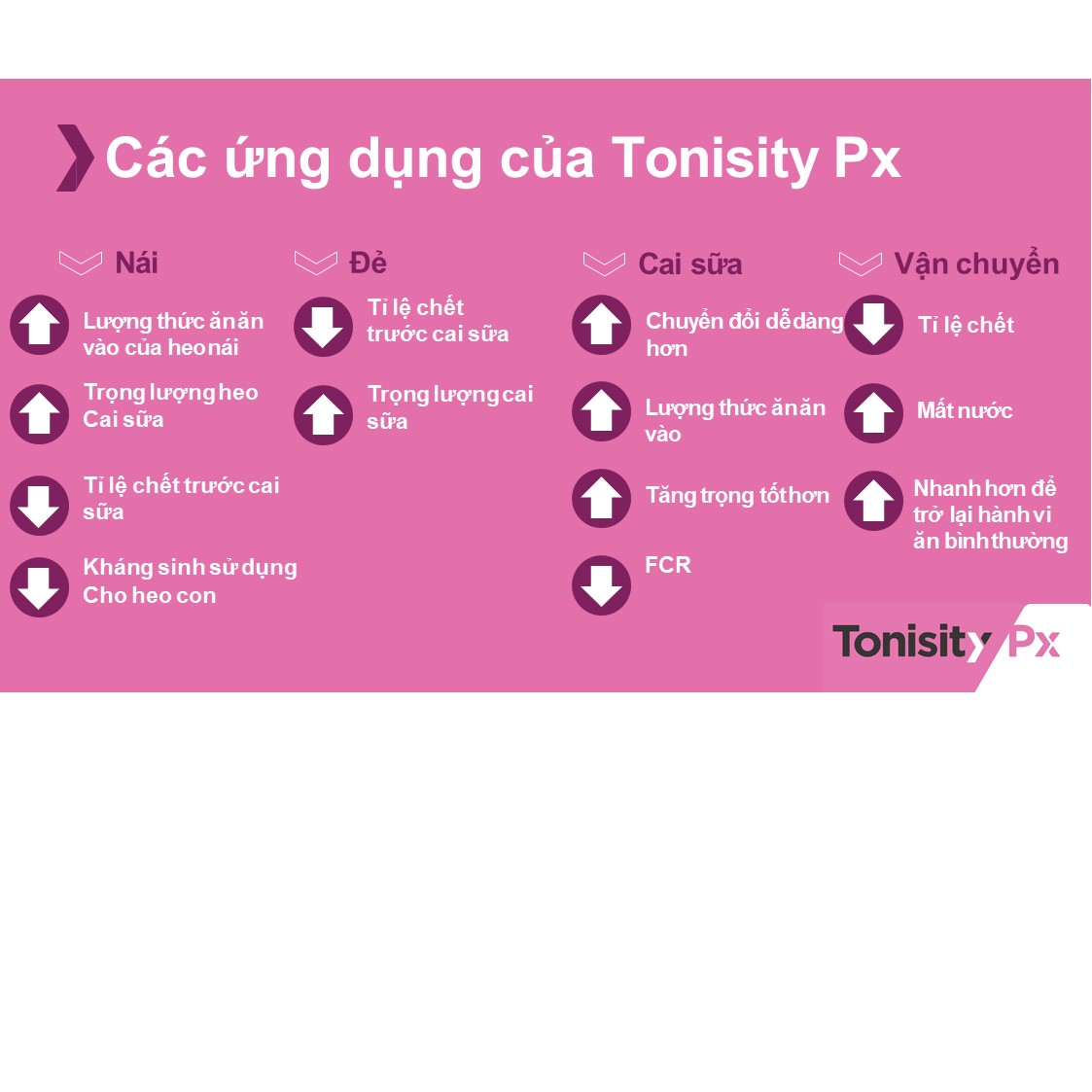 Giới thiệu Tonisity Px 6