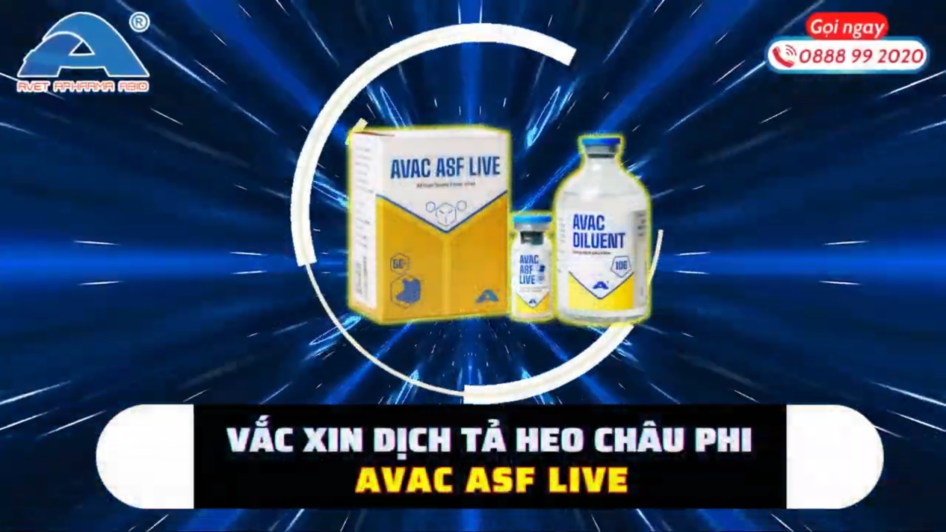 Anh Khỏe tại Phù Cừ, Tiên Lữ - Hưng Yên sử dụng vắc xin Avac ASF Live