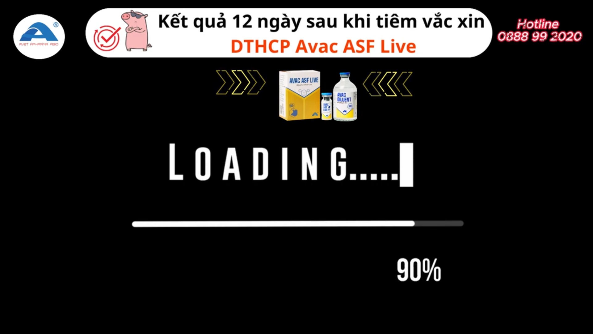 Kết quả 12 ngày sau khi tiêm vắc xin dịch tả heo châu phi AVAC ASF Live