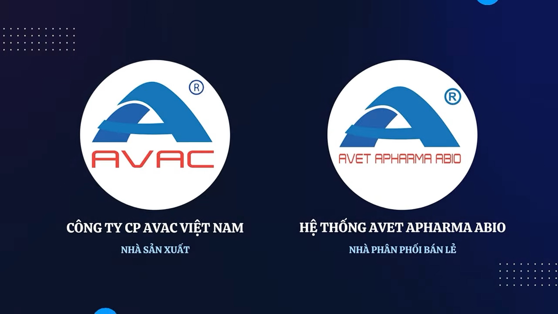 Vắc xin Avac-ASF-Live và hành trình đồng hành cũng người chăn nuôi