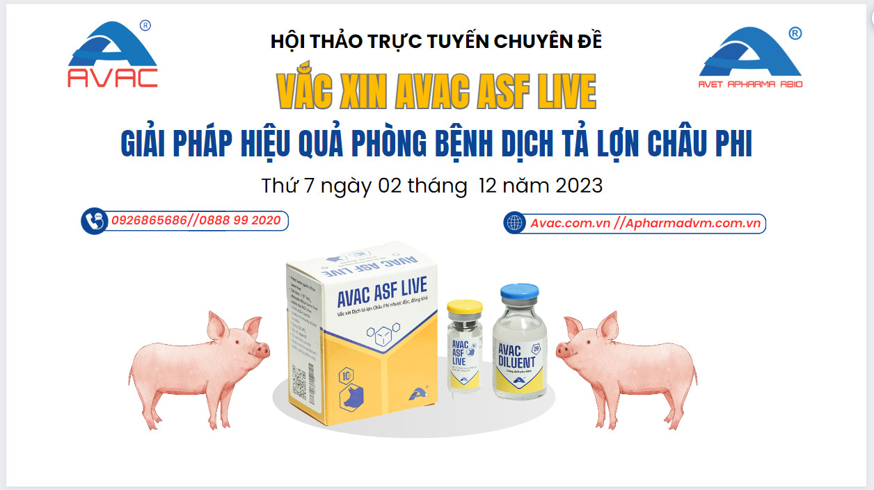 HỘI THẢO VẮC XIN AVAC ASF LIVE - GIẢI PHÁP HIỆU QUẢ PHÒNG BỆNH DỊCH TẢ LỢN CHÂU PHI