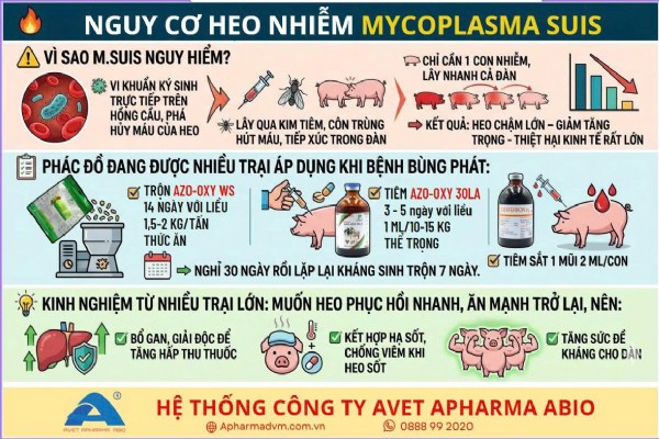 Vì sao M.SUIS nguy hiểm?
