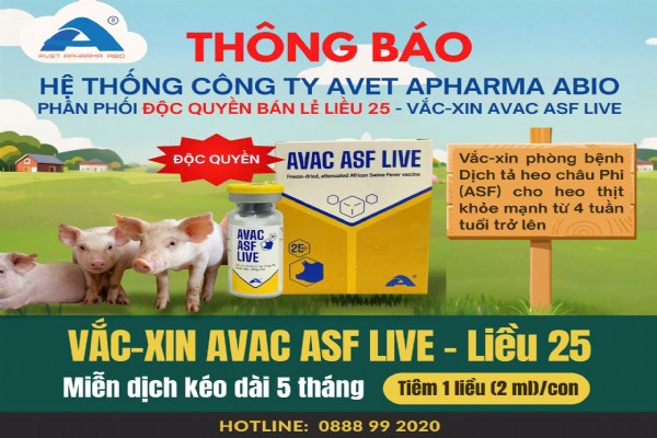 Hệ thống công ty Avet Apharma Abio chính thức PHÂN PHỐI ĐỘC QUYỀN BÁN LẺ VẮC- XIN AVAC ASF LIVE – LIỀU 25