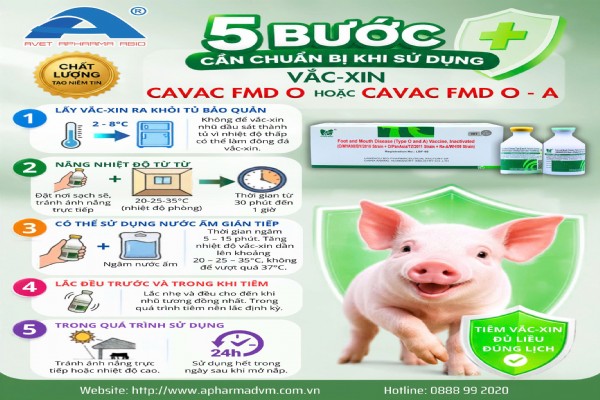 05 bước chuẩn bị và 05 nguyên tắc quan trọng ảnh hưởng đến hiệu quả tiêm phòng