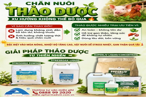 🌿 CHĂN NUÔI THẢO DƯỢC – XU HƯỚNG KHÔNG THỂ BỎ QUA 🔥