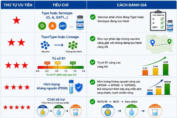 LỰA CHỌN VACCINE LỞ MỒM LONG MÓNG (FMD) CHO HEO: ĐỪNG CHỈ NHÌN GIÁ!