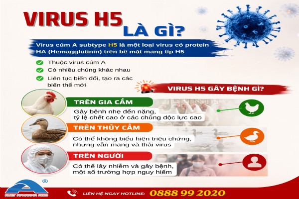 VÌ SAO CÚM GIA CẦM H5 VẪN LÀ “NỖI ÁM ẢNH” CỦA NGÀNH CHĂN NUÔI?