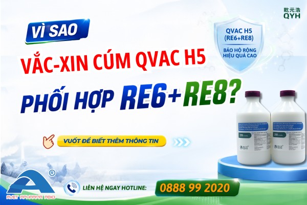 QVAC H5 (Re6+Re8) – VẮC XIN CÚM GIA CẦM THẾ HỆ MỚI CÓ GÌ ĐẶC BIỆT?