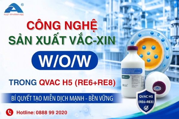 CÔNG NGHỆ W/O/W TRONG QVAC H5 – “CHÌA KHÓA” TẠO MIỄN DỊCH BỀN VỮNG