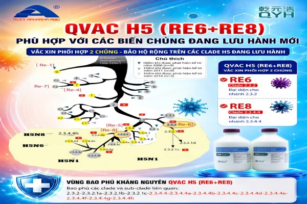 Vì sao QVAC R6 + R8 được đánh giá có phổ bảo hộ rộng?