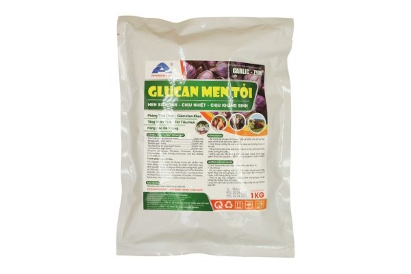GLUCAN MEN TỎI 1