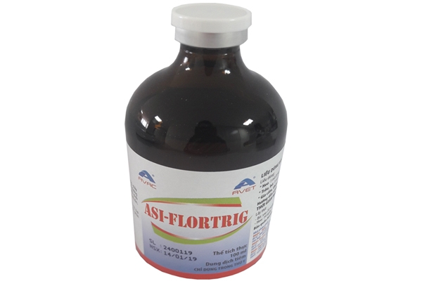 ASI – FLORTRIG