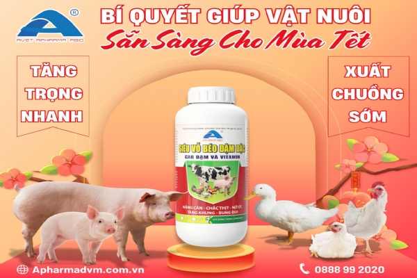 SIÊU VỖ BÉO ĐẬM ĐẶC CAO ĐẠM VÀ VITAMIN