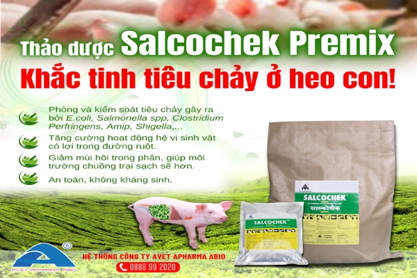 SALCOCHEK  PREMIX