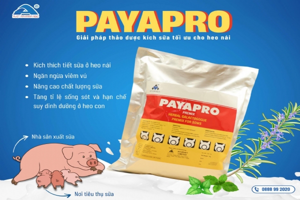 PAYAPRO PREMIX