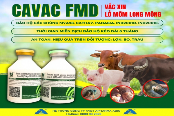 CAVAC FMD TYPE O