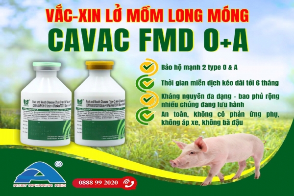 CAVAC FMD TYPE O+A