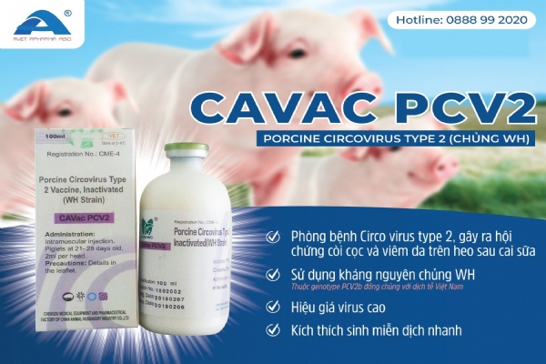 CAVAC PVC2