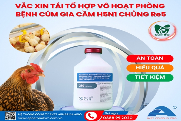 VACCINE CÚM GIA CẦM TÁI TỔ HỢP VÔ HOẠT H5N1 CHỦNG Re5