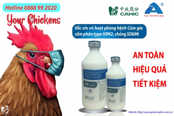 VACCINE CÚM GIA CẦM H9N2