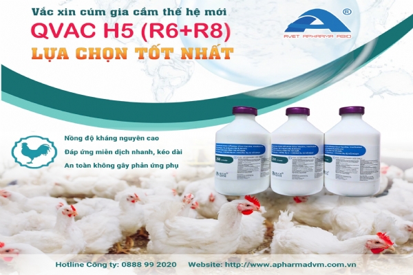 VACCINE CÚM GIA CẦM QVAC H5 (RE6+RE8)