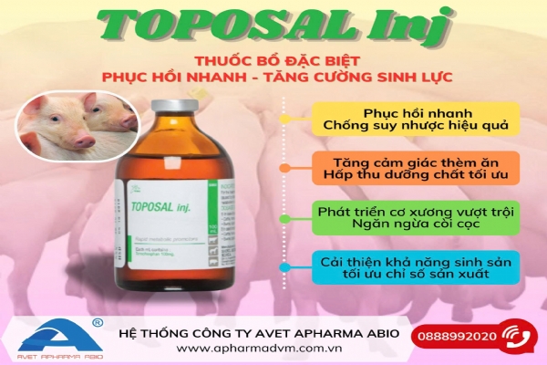 TOPOSAL inj.