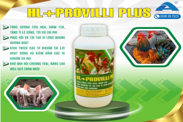 HL+PROVILLI PLUS