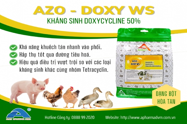 AZO-DOXY WS