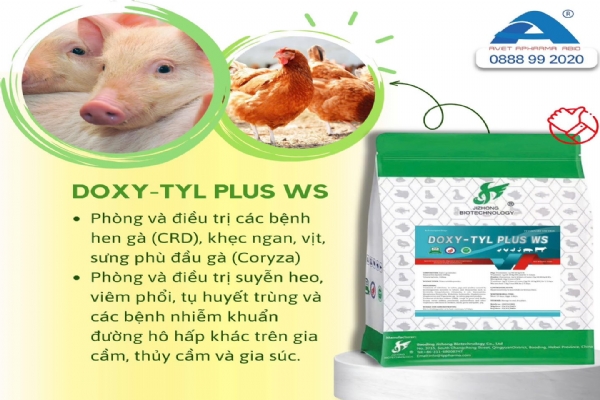 DOXY-TYL PLUS WS