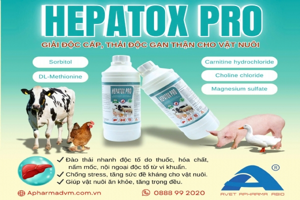 HEPATOX PRO