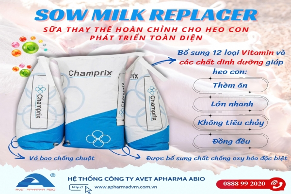 SOW MILK REPLACER