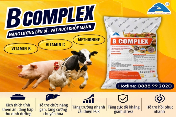 B COMPLEX